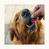 Dogsee Crunch Freeze Dried Beetroot Dog Treats